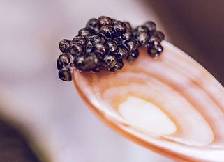 Caviar éthique