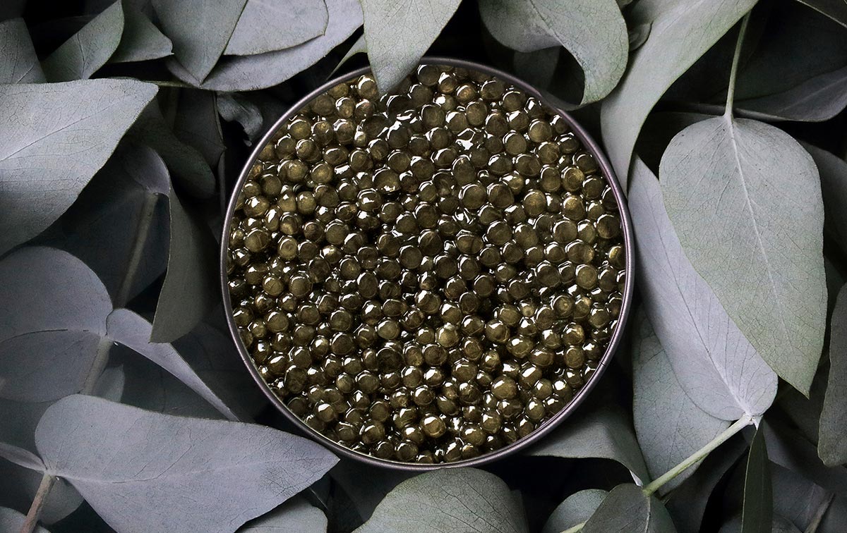 Caviar Rova